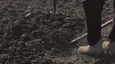 Çiftçi tarım arazisinde kürekle toprak kazıyor ve çalışıyor.
