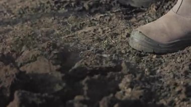 Bahçıvan toprağı kazıyor ve ekiyor.