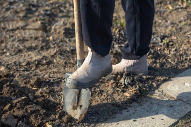 Bahçıvan, güneşli bir günde bahçe yatağında kürekle toprak kazıyor, yeni sebze ekmeye hazırlanıyor.