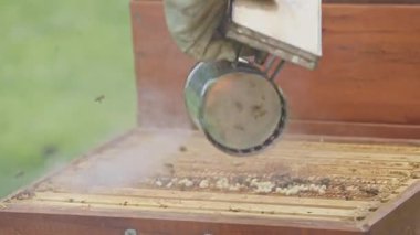 Arıcı bal peteği çerçevesi, dumanı tüten arılar ve bal kazıma ile çalışır.