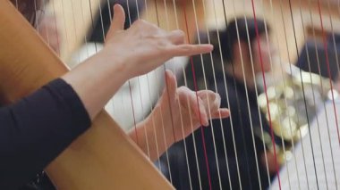 Close-up of a musicians hands playing a harp during an orchestra rehearsal