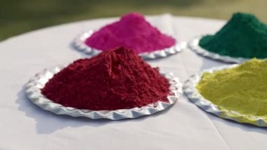 Holi festival preparation in a park