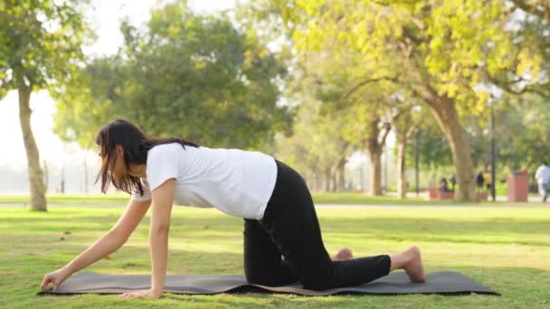印度女孩设置瑜伽垫子为她的会议在公园的早晨 — 图库视频影像