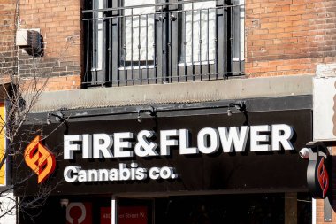 Toronto, Kanada - 20 Kasım 2020: Toronto, Kanada 'da bir Fire & Flower Cannabis mağazası kapanış tabelası gösterilmektedir. Fire & Flower Inc., Kanadalı bir esrar ürünüdür.. 