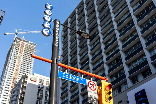 Toronto Canadá Novembro 2020 Sinal College Street Com Semáforo Visto — Fotografia de Stock