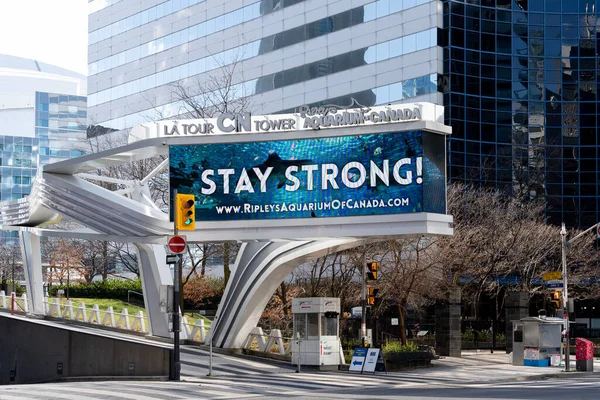 Toronto Canada November 2020 Stay Strong Sign Displayed Digital Signage — Stock Photo, Image