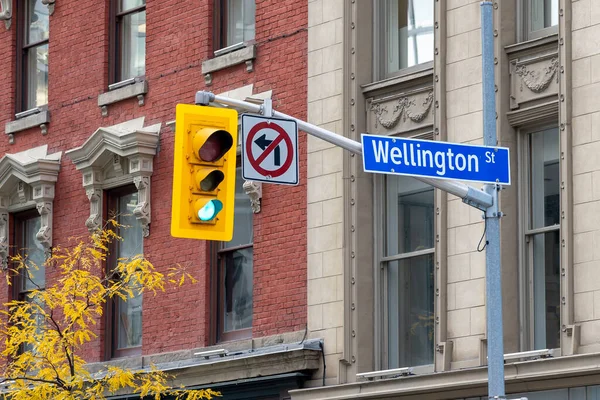 Toronto Canada Ottobre 2019 Cartello Stradale Wellington Con Semaforo Nel — Foto Stock