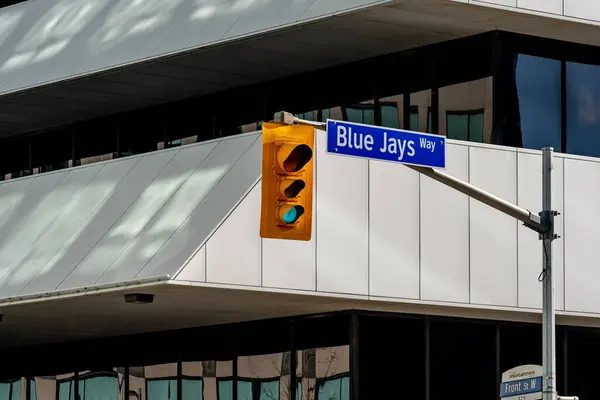 Toronto Canadá Novembro 2020 Sinal Rua Blue Jays Com Semáforo — Fotografia de Stock