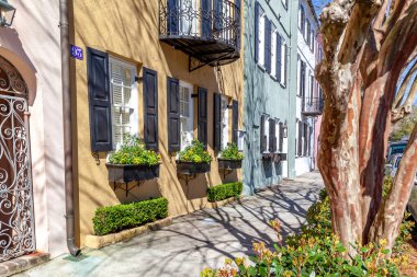 Charleston, Güney Carolina, ABD - 28 Şubat 2020: Sabah Rainbow Row, Charleston, Güney Carolina 'daki bir dizi renkli tarihi evin adı.