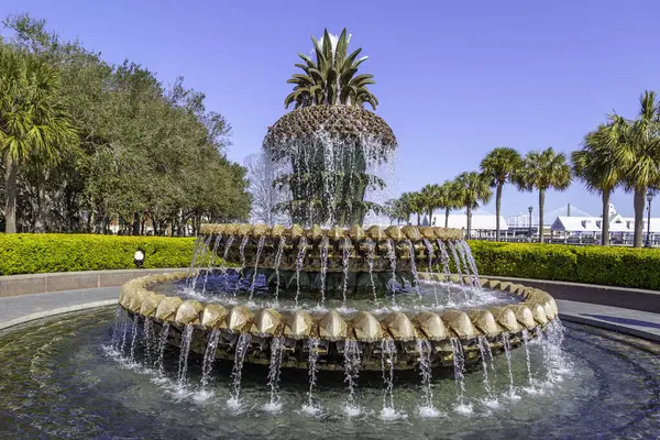 Charleston South Carolina Usa Februari 2020 Ananas Fontein Het Waterfront — Stockfoto
