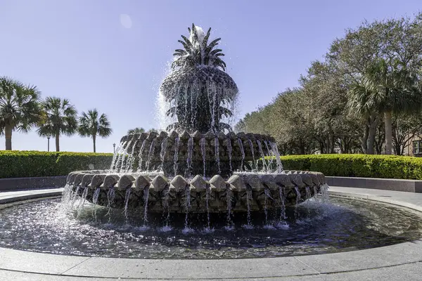 Charleston Güney Carolina Abd Şubat 2020 Pineapple Fountain Charleston Güney — Stok fotoğraf