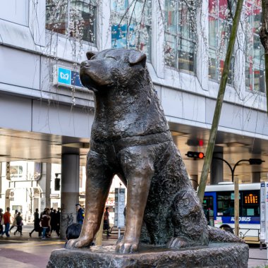 Shibuya, Japonya - 22 Mart 2019: Japonya 'daki Shibuya istasyonunda Hachiko köpek heykeli. Hachiko, sahibine olan olağanüstü bağlılığıyla hatırlanan bir Japon Akita köpeğiydi..