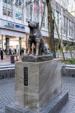 Shibuya, Japonya - 22 Mart 2019: Japonya 'daki Shibuya istasyonunda Hachiko köpek heykeli. Hachiko, sahibine olan olağanüstü bağlılığıyla hatırlanan bir Japon Akita köpeğiydi..