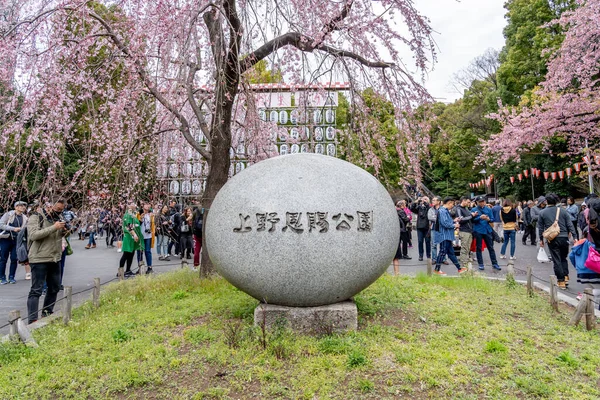 Tokio Japonia Marca 2019 Wiosną Ludzie Odwiedzają Ueno Park Tokio — Zdjęcie stockowe