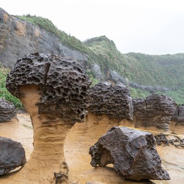 Tayvan 'daki Yehliu Geopark' taki mantar kayaları. Mantar kayaları, alttaki ince taş sütunlar tarafından desteklenirken üstteki dünya şeklindeki kayalarla oluşmuştur..