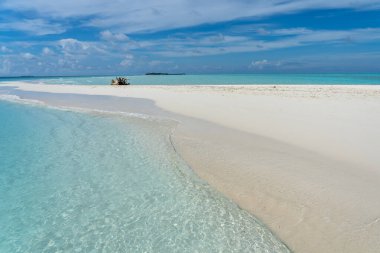 Maldivler 'de arka planda adaları olan kumsalda bir ağaç kamyonu.