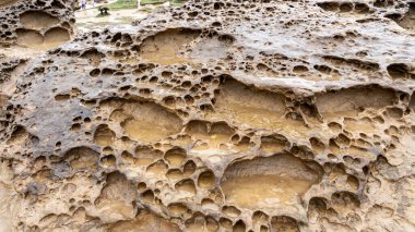 Tayvan 'daki Yehliu Geopark' ta Bal Tarağı Havalandıran Kaya. Bal petekli kayalar, farklı boyutlarda deliklerle kaplı kayaları ifade eder ve sonuç olarak bal peteği gibi görünür..