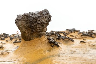 Tayvan 'daki Yehliu Geopark' taki mantar kayaları. Mantar kayaları, alttaki ince taş sütunlar tarafından desteklenirken üstteki dünya şeklindeki kayalarla oluşmuştur..