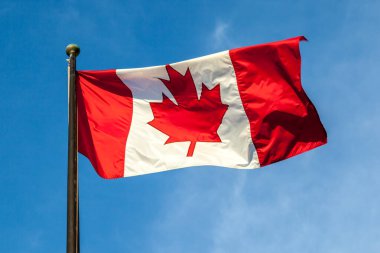 Arka planda mavi gökyüzü bulunan bayrak direğinde Kanada bayrağı