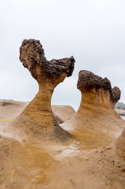 Tayvan 'daki Yehliu Geopark' taki mantar kayaları. Mantar kayaları, alttaki ince taş sütunlar tarafından desteklenirken üstteki dünya şeklindeki kayalarla oluşmuştur..