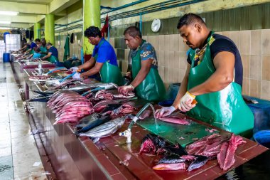 8 Haziran 2017 'de Maldivler' de taze balık pazarı