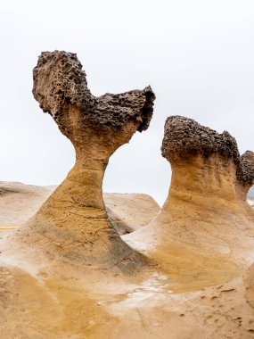 Tayvan 'daki Yehliu Geopark' taki mantar kayaları. Mantar kayaları, alttaki ince taş sütunlar tarafından desteklenirken üstteki dünya şeklindeki kayalarla oluşmuştur..