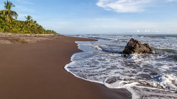 Kosta Rika Daki Tortuguero Ulusal Parkı Ndaki Plaj — Stok fotoğraf