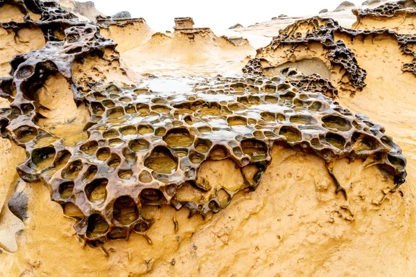 Honeycomb Weathering Rock Yehliu Geopark Taiwan Pedras Favejadas Referem Rochas — Fotografia de Stock