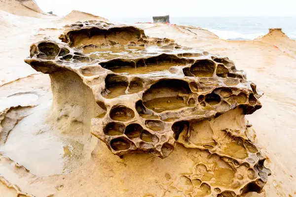 台湾叶赫留地质公园的蜂窝风化岩 蜂窝状的岩石是指被不同大小的孔洞所覆盖的岩石 看上去像蜂窝状的岩石 — 图库照片