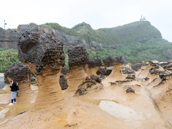 Svampstenar Vid Yehliu Geopark Taiwan Svampstenarna Bildas Med Jordformade Stenar — Stockfoto