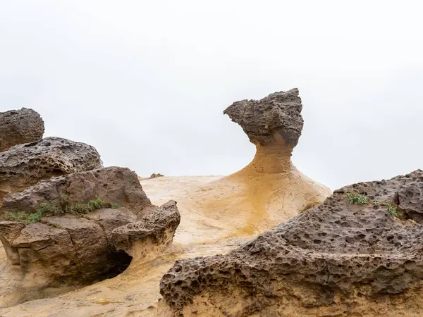 Tayvan Daki Yehliu Geopark Taki Mantar Kayaları Mantar Kayaları Alttaki — Stok fotoğraf
