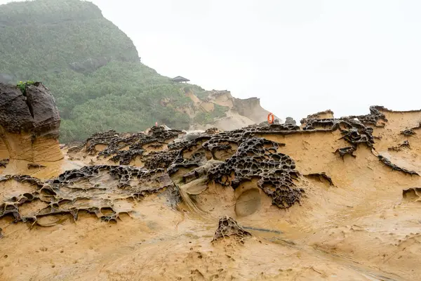 Honeycomb Weathering Rock Geoparque Yehliu Taiwán Rocas Panal Refieren Las —  Fotos de Stock
