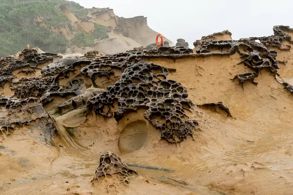 Honeycomb Weathering Rock Geoparque Yehliu Taiwán Rocas Panal Refieren Las —  Fotos de Stock