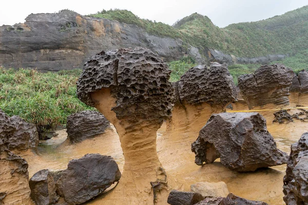 Mushroom Rocks Yehliu Geopark Taiwan Mushroom Rocks Formed Globe Shape — Stock Photo, Image