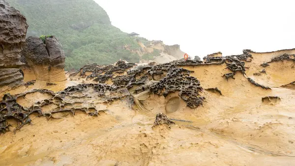 Honeycomb Weathering Rock Yehliu Geopark Taiwan Honeycombed Rocks Refer Rocks — Stock Photo, Image