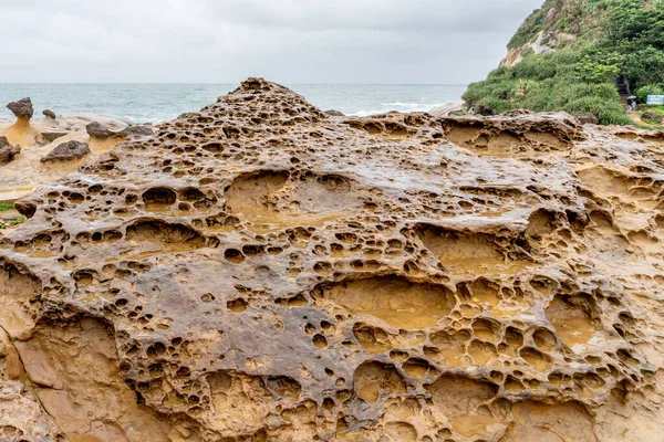 Honeycomb Weathering Rock Geoparque Yehliu Taiwán Rocas Panal Refieren Las — Foto de Stock
