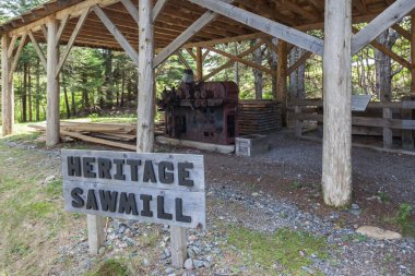 NEW BRUNSWICK, CANADA - 4 Ağustos 2017: Fundy Trail Parkway, New Brunswick, Kanada