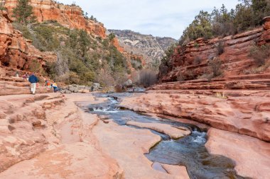 Sdeona, Arizona yakınlarındaki Coconino Ulusal Ormanı 'ndaki Rock Slide State Parkı' nda Oak Creek.