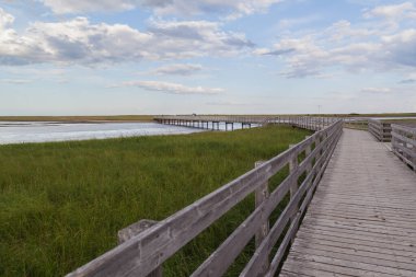 KELLYS BEACH, NB, CANADA - 5 Ağustos 2017: Kouchibouguac Ulusal Parkı, Newbrunswick, Kanada