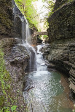 Yazın Watkins Glen Eyalet Parkı 'nda şelale ve köprü, Finger Lakes bölgesi, New York Stake, ABD