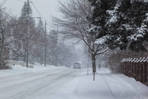 Snow on the street in Toronto