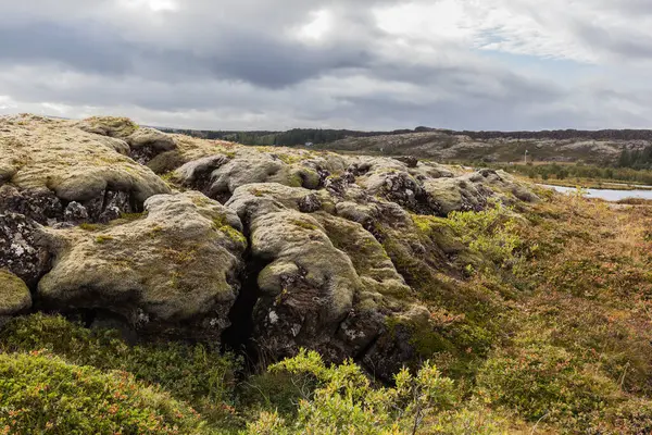 Moss Covered Lava Iceland — Stock Photo, Image