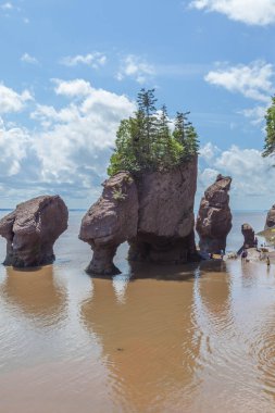 NEW BRUNSICK, CanADA - 5 Ağustos 2017: Hopewell Kayalıkları New Brunswick 'in En İyi Çekimlerinden biridir..
