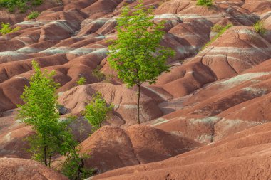 The Cheltenham Badlands in Caledon in summer, Ontario, Canada, a small example of badlands formation. clipart
