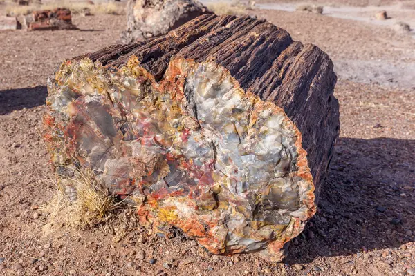Petrified Forest Ulusal Parkı Arizona Abd Arka Planda Çorak Arazili — Stok fotoğraf