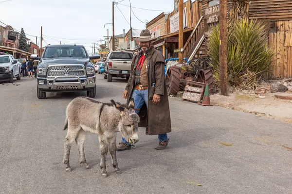 美国Arizona 2017年12月23日 野牛在Oatman街上游荡 奥特曼最有名的景点是它的野生驴 它可以在街上自由漫步 也可以用手喂草 — 图库照片