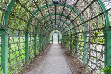 17 Mayıs 2016 'da Estonya' nın Tallinn kentindeki Kadriorg Sarayı 'ndaki bahçelerde yaprak tüneli.
