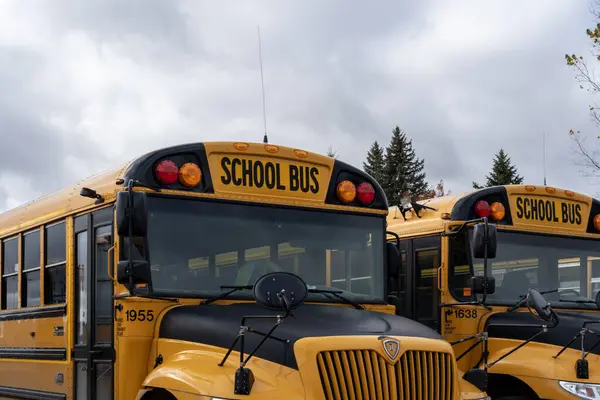 Schulbusse Auf Einem Parkplatz Waterloo Kanada Oktober 2023 — Stockfoto