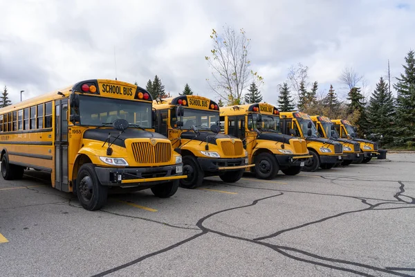 Autobuses Escolares Estacionamiento Waterloo Canadá Octubre 2023 —  Fotos de Stock