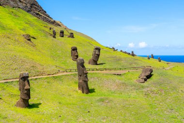 Paskalya Adası, Şili - 28 Şubat 2023: Moai, Şili 'nin Easter Adası' nda (Rapa Nui) Rano Raraku yamacına çıkar. Raraku genellikle Moai Fabrikası olarak bilinir..